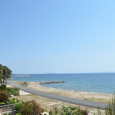 Lemon Beach Front Apartment, Nikiti Dış mekan fotoğraf