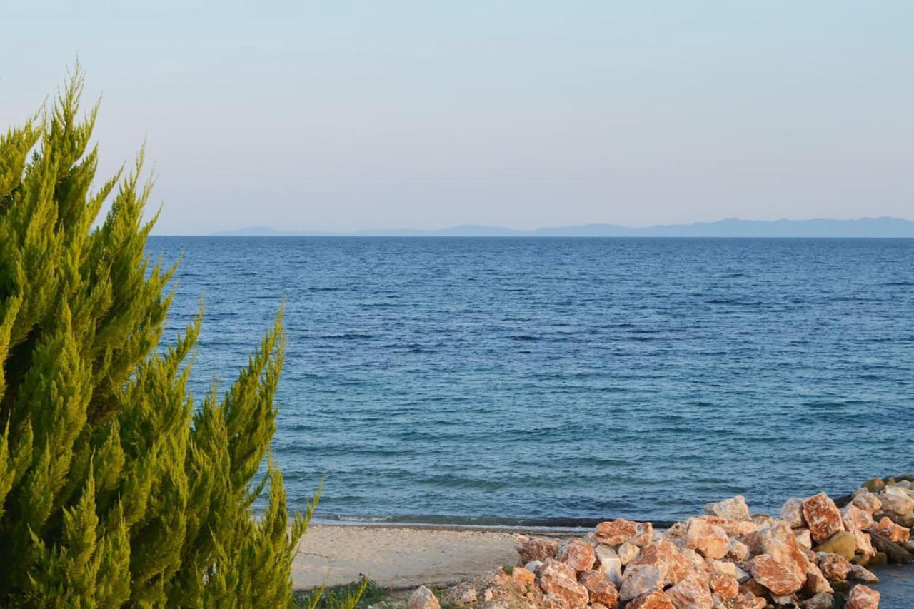 Lemon Beach Front Apartment, Nikiti Dış mekan fotoğraf