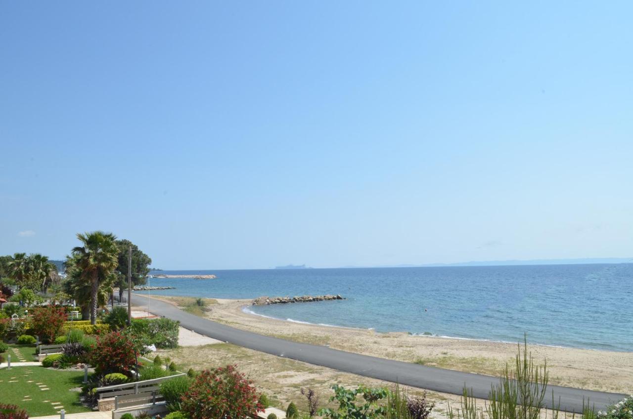 Lemon Beach Front Apartment, Nikiti Dış mekan fotoğraf