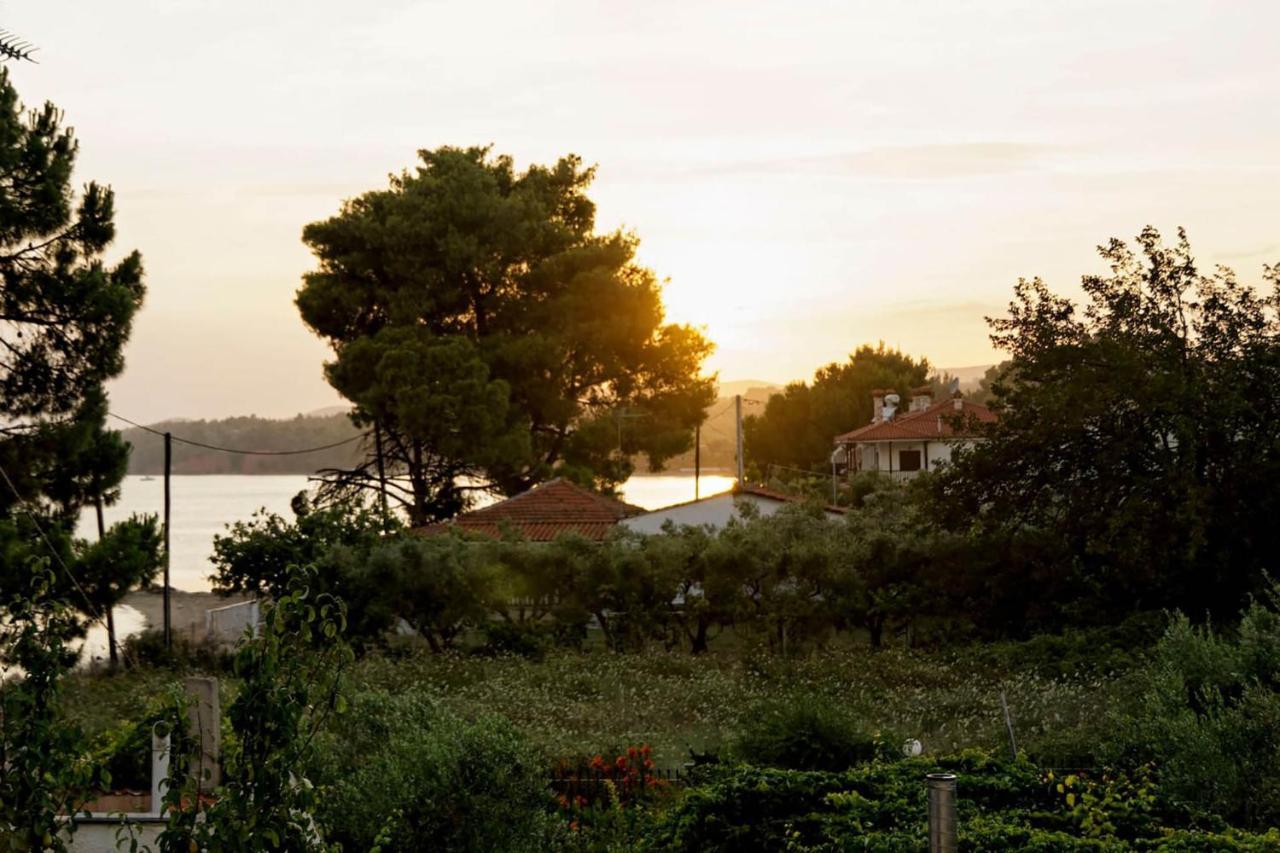 Lemon Beach Front Apartment, Nikiti Dış mekan fotoğraf