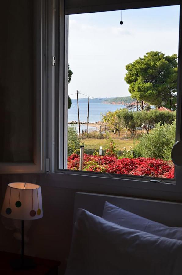 Lemon Beach Front Apartment, Nikiti Dış mekan fotoğraf